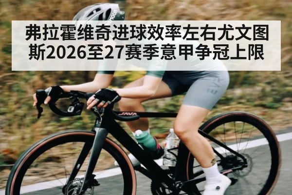 弗拉霍维奇进球效率左右尤文图斯2026至27赛季意甲争冠上限