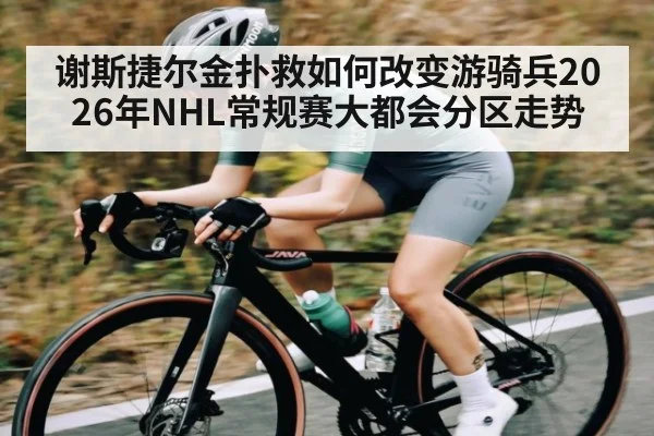 谢斯捷尔金扑救如何改变游骑兵2026年NHL常规赛大都会分区走势